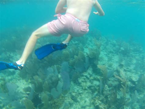 Snorkel The Keys Snorkeling Key Largo Dry Rocks Grecian Snorkel