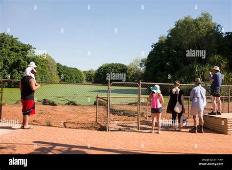 Malcolm Douglas Crocodile Park Hi Res Stock Photography And Images Alamy