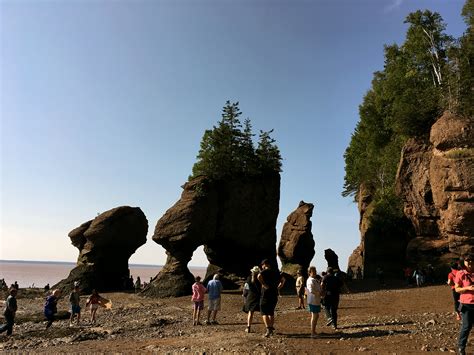 Crazy Tides in New Brunswick