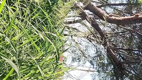 Jalandomela In Bed Free Gay Amateur Hd Porn Video B Xhamster