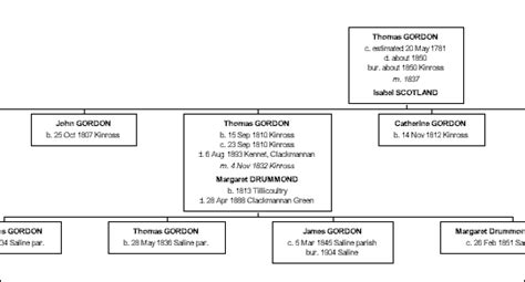 Treedraw 4 Genealogy Charting Tool For Windows