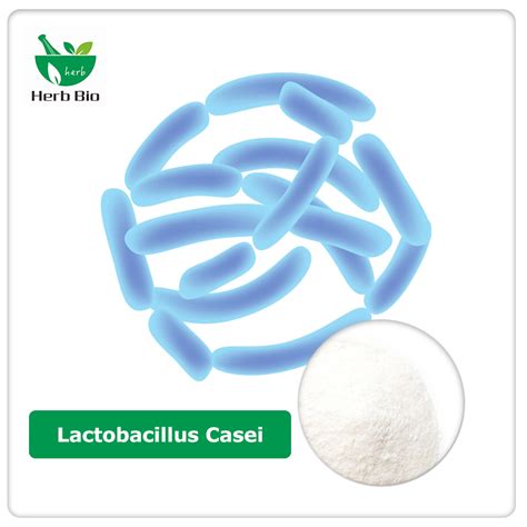 The Best Wholesales Lactobacillus Casei Chinese Suppliers - Xi'an Herb Bio