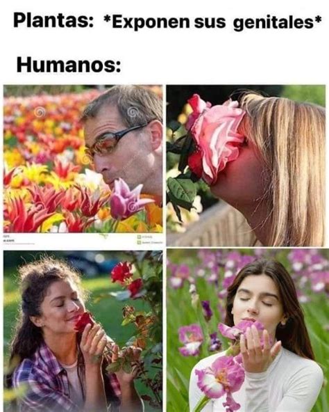 Plantas Exponen Sus Genitales Humanos Memes