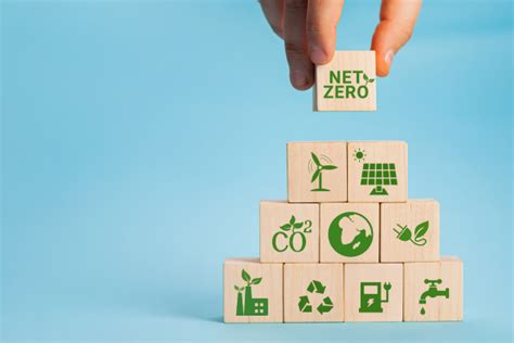 Descarbonizaci N Y Filtraci N Estrategias Para Alcanzar El Net Zero