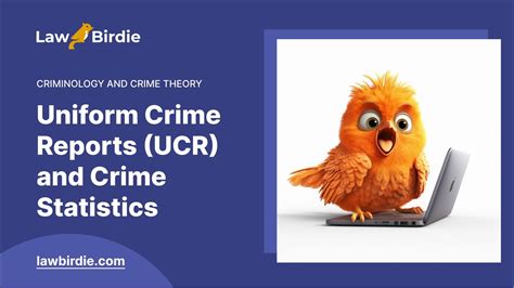 Uniform Crime Reports Ucr And Crime Statistics Essay Example Youtube