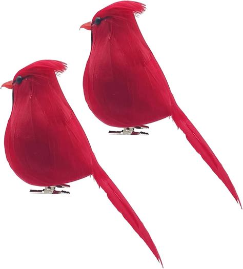 Raz Imports 7 Inch Clip On Cardinal Ornaments Set Of 2 Assorted Home And Kitchen