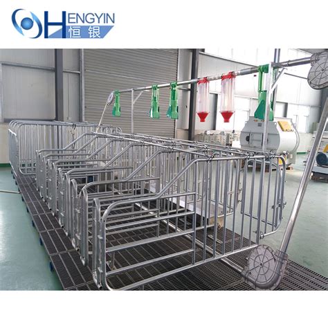 China Pigs Farm Pig Farming Sheds Automatic Pig Farming Equipment