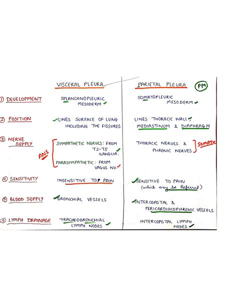 Solution Pleura Lungs Thorax Mbbs Studypool