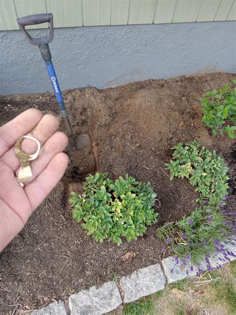 Best Ancient Artifacts Images On Pholder Artefact Porn Damnthatsinteresting And Pics