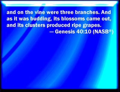 Bible Verse Powerpoint Slides for Genesis 40:10