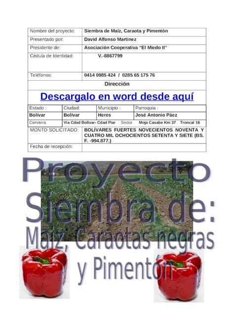 DOC Proyecto De Siembra De Caraotas Negras DOKUMEN TIPS