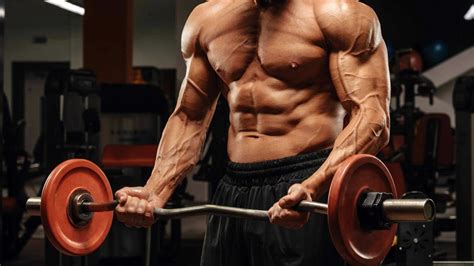 Best Pull Day Workouts For Back Traps And Biceps Fitness Volt