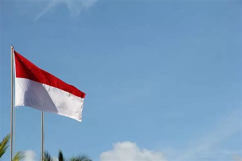 Banyak Yang Salah Kaprah Ternyata Begini Cara Menghormat Bendera Yang