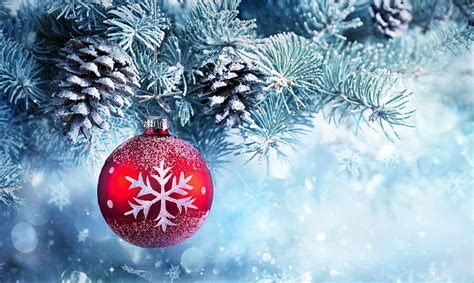 HD Wallpaper Red And White Christmas Bauble With Christmas Tree Snow