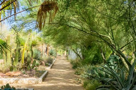 Botanical Garden Of Springs Preserve In Las Vegas The Epicurean Traveler