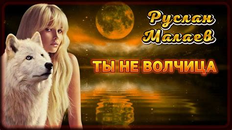 Руслан Малаев - Ты не волчица | Шансон Юга - YouTube
