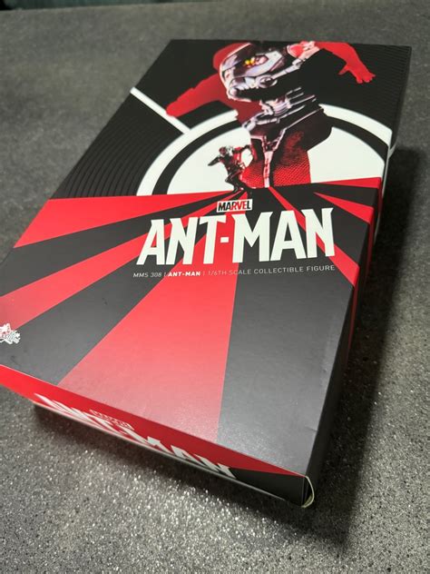 Movie Masterpiece Hot Toys MMS308 Ant Man Hobbies Toys Memorabilia Collectibles Fan