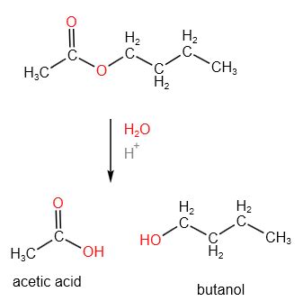 Hydrolysis Of Ethyl Butanoate