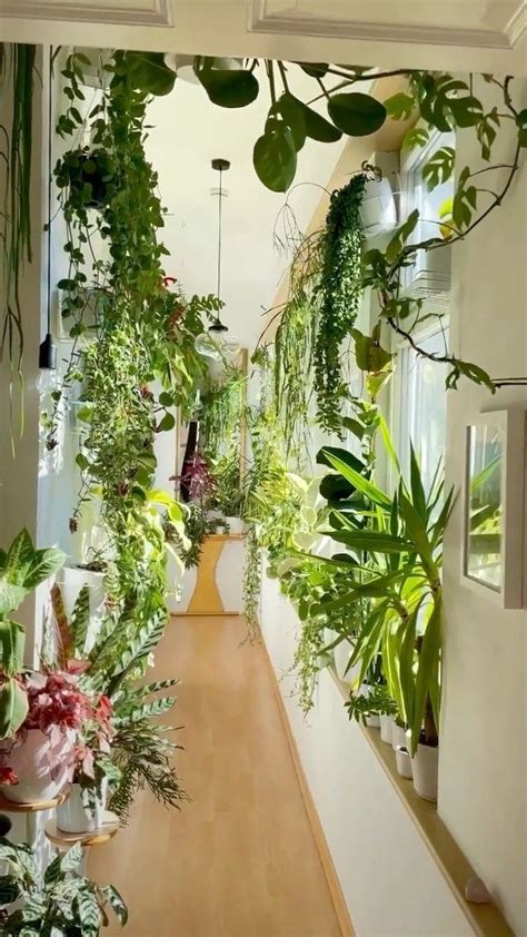 SHLTR On Instagram Some Indoor Jungle Inspiration For Your Feed