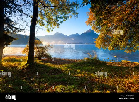 Wolfgang lake, Austria, Europe, Salzburg, lake, lake shore, trees ...