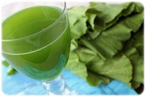 Suco de couve benefícios e receitas práticas Suco de couve Suco