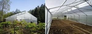 Vivero Invernaderos Diseño y Construcción para Cultivo en Invernadero