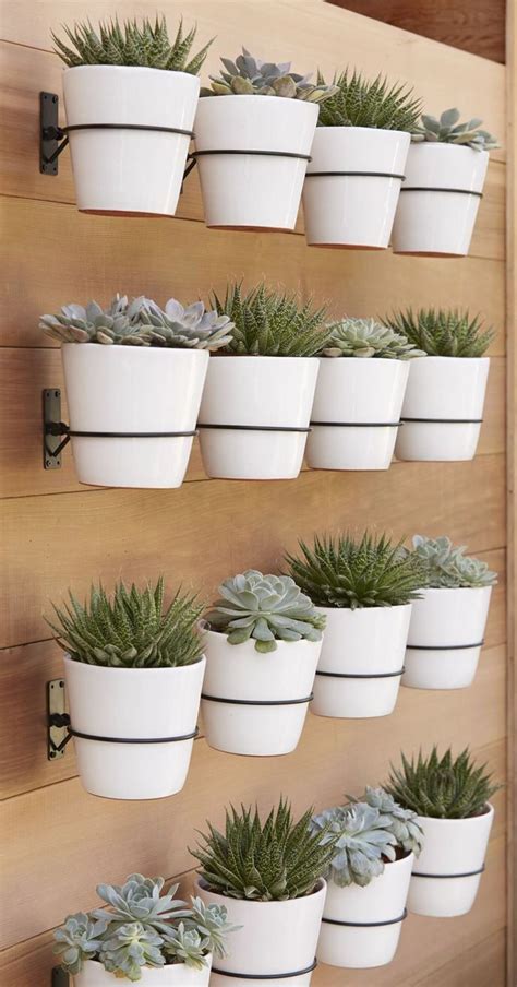 Wall Planter Hook Reviews Crate And Barrel In 2020 Vertical Garden Design Plants Garden