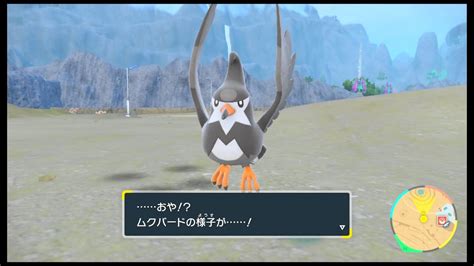 SVのポケモン ムクバード レベル34で進化 YouTube