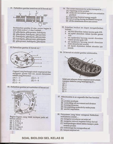 Contoh Soal Biologi Kelas 11 Semester 1 Homecare24