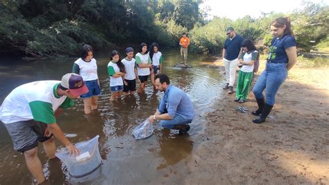 Estudantes Soltam Peixes No Jaguarizinho E Aprendem Sobre Preserva O