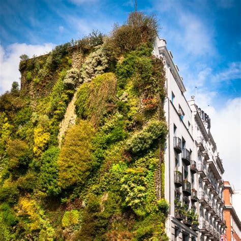 Los Jardines Verticales Más Impresionantes De Madrid