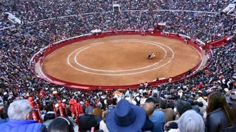 Rechaza Jueza Suspender Corridas De Toros En Plaza M Xico Peri Dico Am