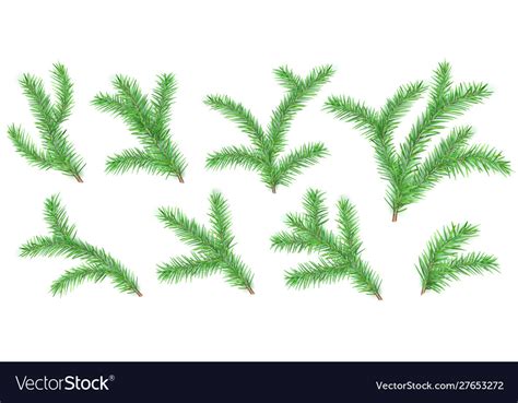 Christmas tree branches Royalty Free Vector Image