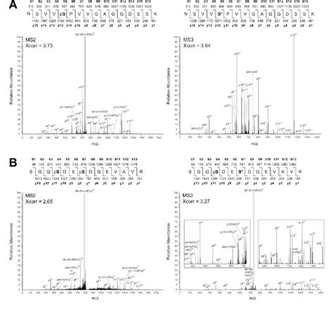 Figure 1 From Phosphoproteomics Reveals Extensive In Vivo