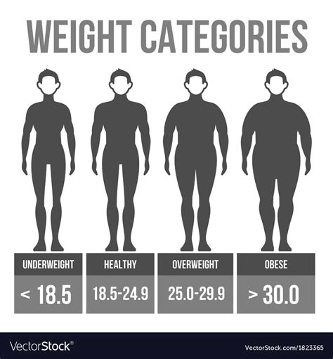 Man Body Mass Index Royalty Free Vector Image Vectorstock