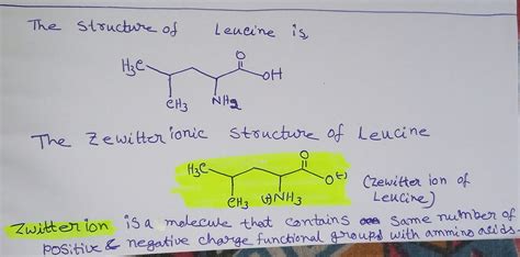 Solved Draw The Zwitterion Structure For The Amino Acid Leucine