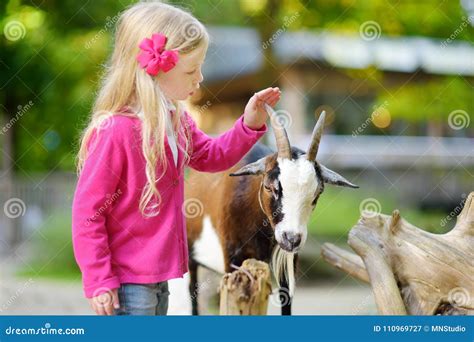 Cute Little Girl Petting And Feeding A Goat At Petting Zoo Child