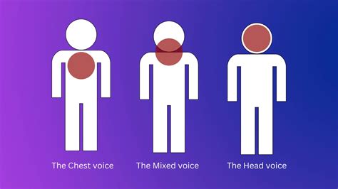 What Is Head Voice: Amp up Your Voice with Expert Techniques