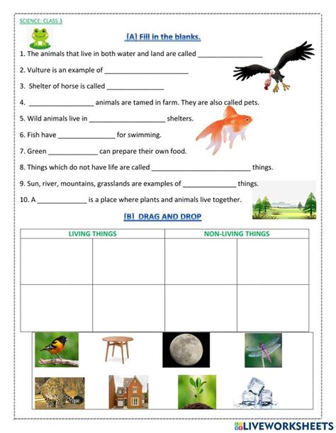 science class  st ws worksheet science worksheets worksheets