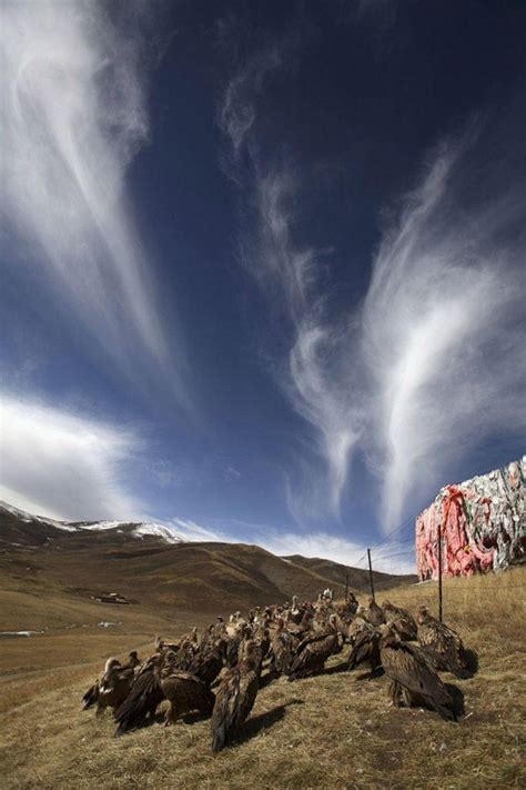 How is "sky burial" in Tibet - Pictolic