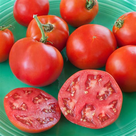 Bonnie Original Tomato (2 Pack) – Bonnie Plants