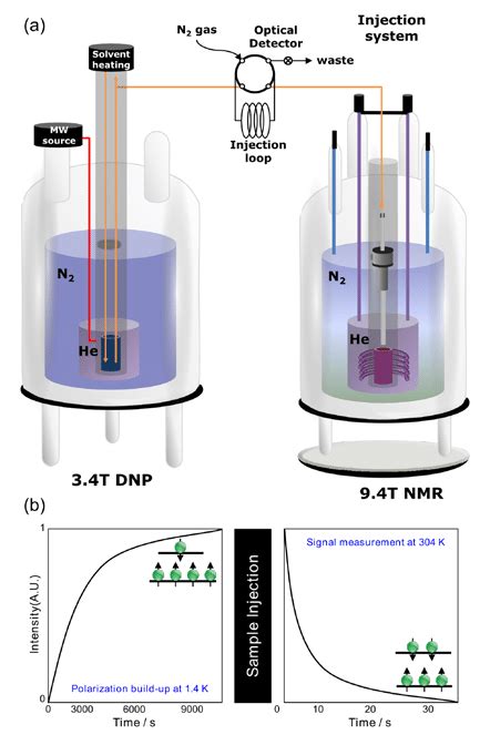 A Schematic Diagram Of The D DNP NMR Arrangement And Injection