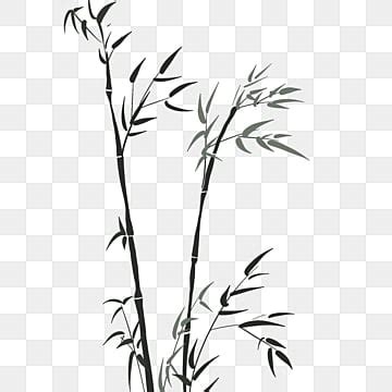 Bamboo Leaf PNG Transparent Bamboo Leaf Free Material Bamboo Clipart