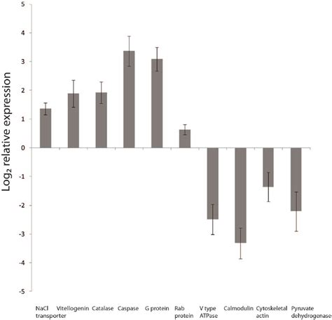 Log 2 Relative Expression Of Selected Genes Using Quantitative Download Scientific Diagram