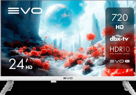 Телевизор evo tv 24 White – купить по цене 11 999 руб. на официальном ...