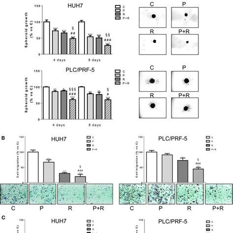 Palbociclib Combined With Regorafenib Inhibits D Cell Growth And