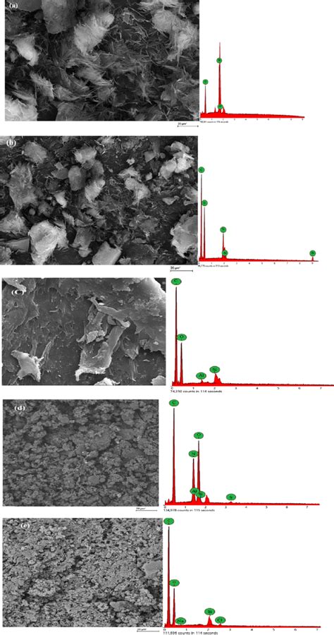 SEMEDX Micrographs Of A MMT B NMMT C PMA NMMT And D AMX And