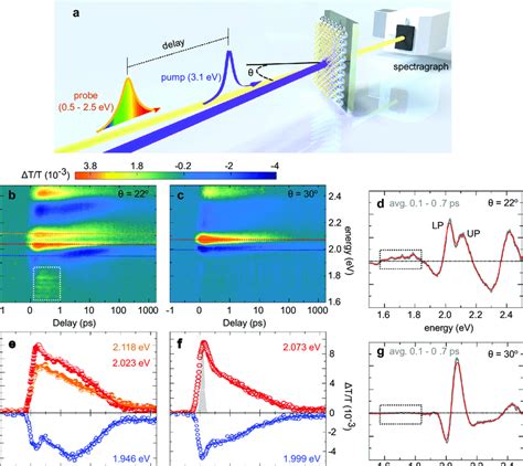 Transient Optical Responses Of Pc Ws Systems A Schematic Of