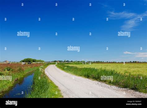 A Road Through A Typical Dutch Polder Landscape On A Bright And Sunny