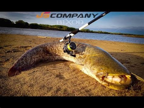JS Company Bixod A2 - YouTube
